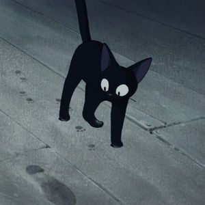 Meet your Posher, Lynn